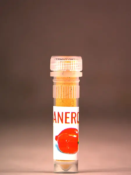 Habanero koření vzorek