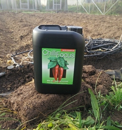 Chilli Focus 5l