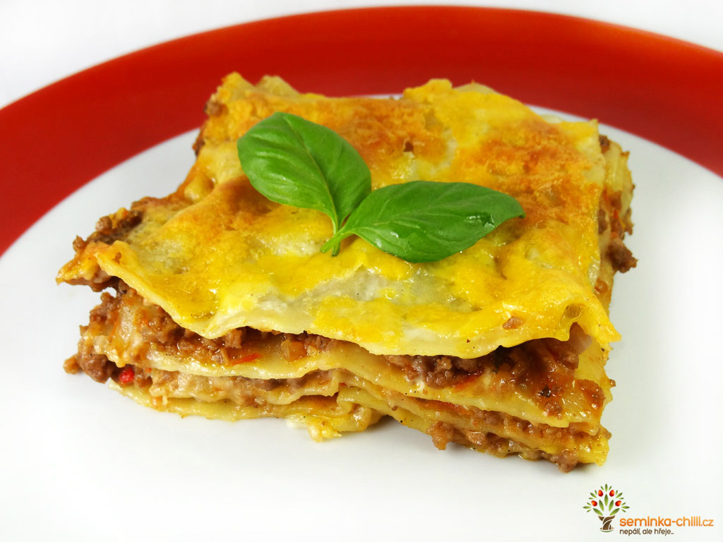 Domácí Lasagne Recept na domácí Lasagne