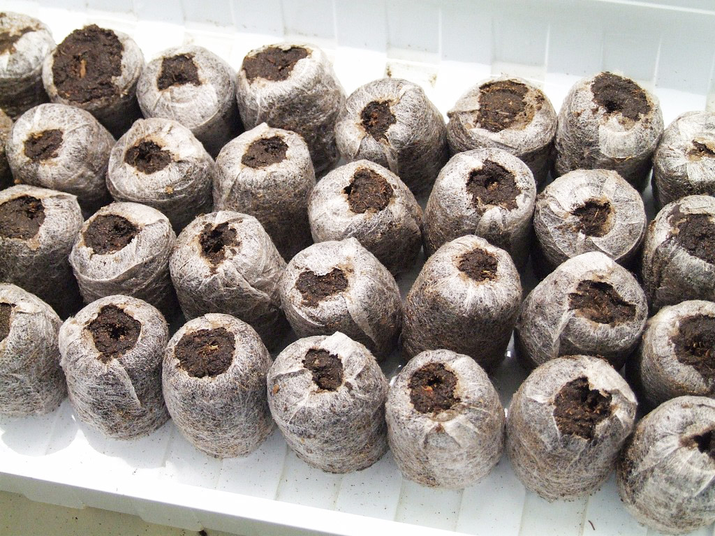 Rašelinové tablety Jiffy 7 Rašelinové tablety Jiffy 7