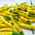 Cayenne Yellow