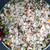 Bylinná himalájská růžová sůl hrubá s chilli Moruga