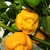 Trinidad Scorpion Moruga Yellow