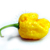 Trinidad Scorpion Moruga Yellow