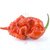 Carolina Reaper HP22B