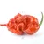 Carolina Reaper HP22B