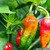 Naga Morich