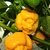 Trinidad Scorpion Moruga Yellow