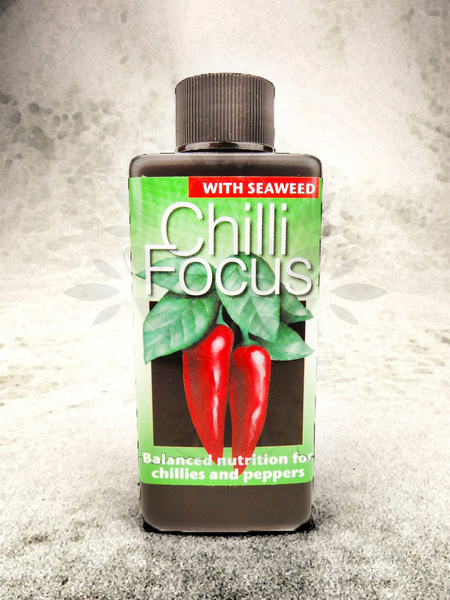 Chilli Focus 100 ml