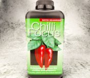 Chilli Focus