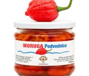 Moruga Podvodnice