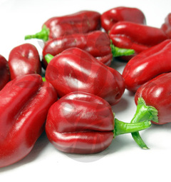 Čerstvé papričky Habanero Red