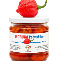 Moruga Podvodnice