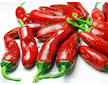 Jalapeno Telica