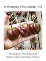 Sazenice Habanero Chocolate