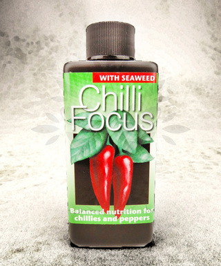 Chilli Focus