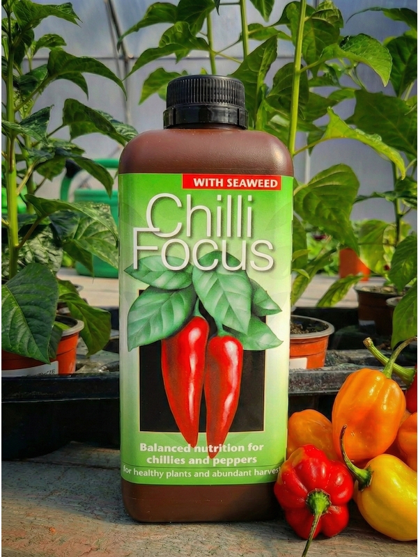 Chilli Focus, hnojivo na chilli a sladké papriky