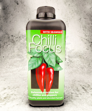 Chilli Focus