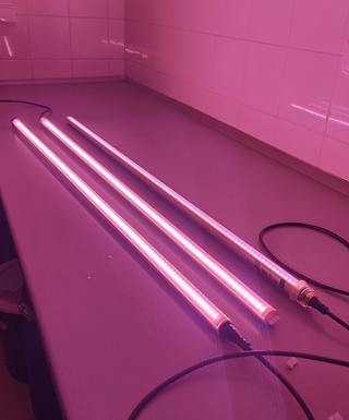 Profi LED osvětlení pro předpěstování paprik