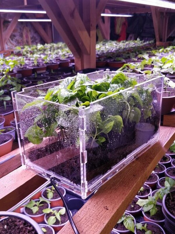 Vyhřívaný výsevní inkubátor CHILLI PLEXI 30 Vyhřívaný výsevní inkubátor CHILLI PLEXI 30