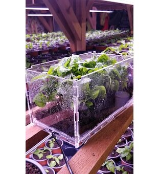 Vyhřívaný výsevní inkubátor CHILLI PLEXI 30