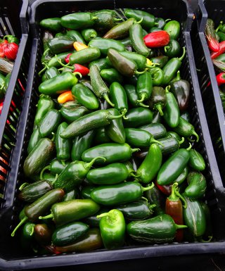 Čerstvé papričky Jalapeno