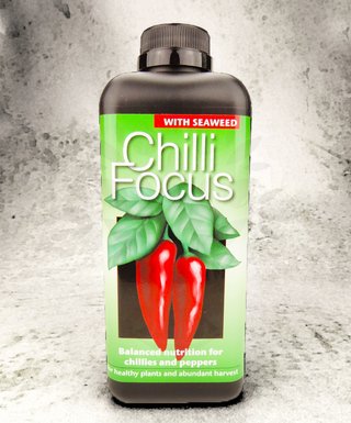 Chilli Focus