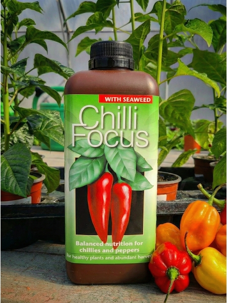 Chilli Focus, hnojivo na chilli a sladké papriky