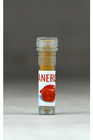 Dárek Habanero koření 2ml