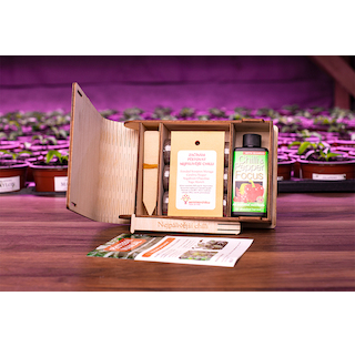 Dárkový BOX Začínám pěstovat nejpálivější chilli