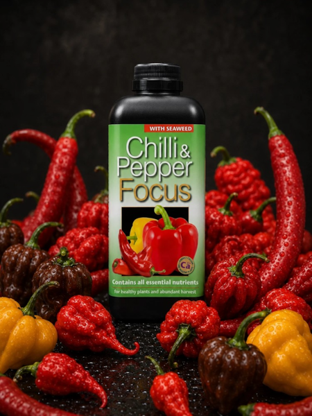 Chilli Focus, hnojivo na chilli a sladké papriky