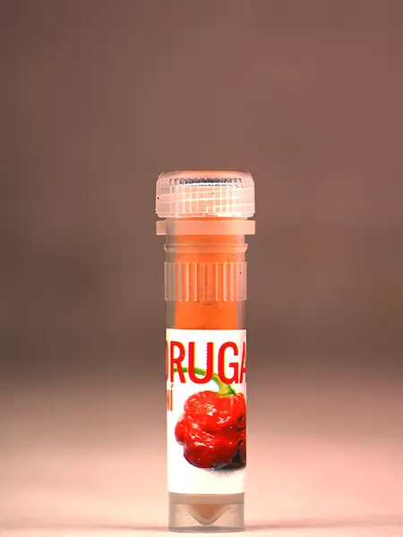 Moruga koření vzorek